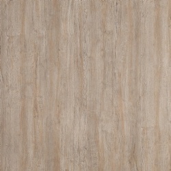 Limousin Grey Oak