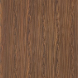 Montana Walnut